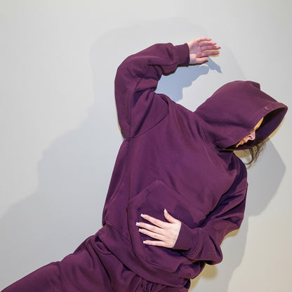 Winter Bloom 480 GSM Heavyweight Oversized Hoodie | Premium 14oz Streetwear